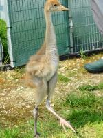 White Black Blue on 12th June 2012 White Black Blue on 12th June 2012